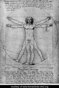 Vitruvian-Man,-Study-of-proportions,-from-Vitruvius's-De-Architectura-large