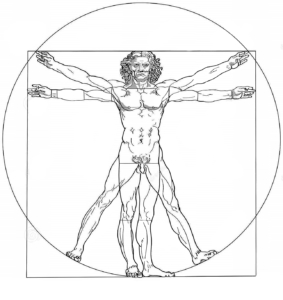 vitruvian-man-leonardo-da-vinci-illustration-drawing-created-based-records-architect-vitruvius-isolated-32987994